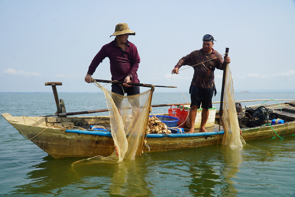 Bắt cá bống cát trên hồ Trị An